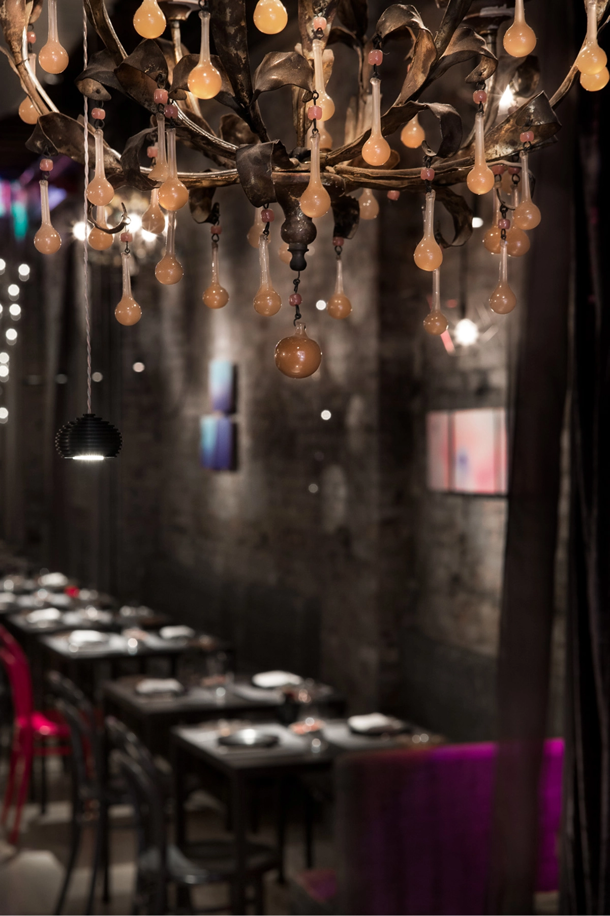 ABC Cocina Gallery Images