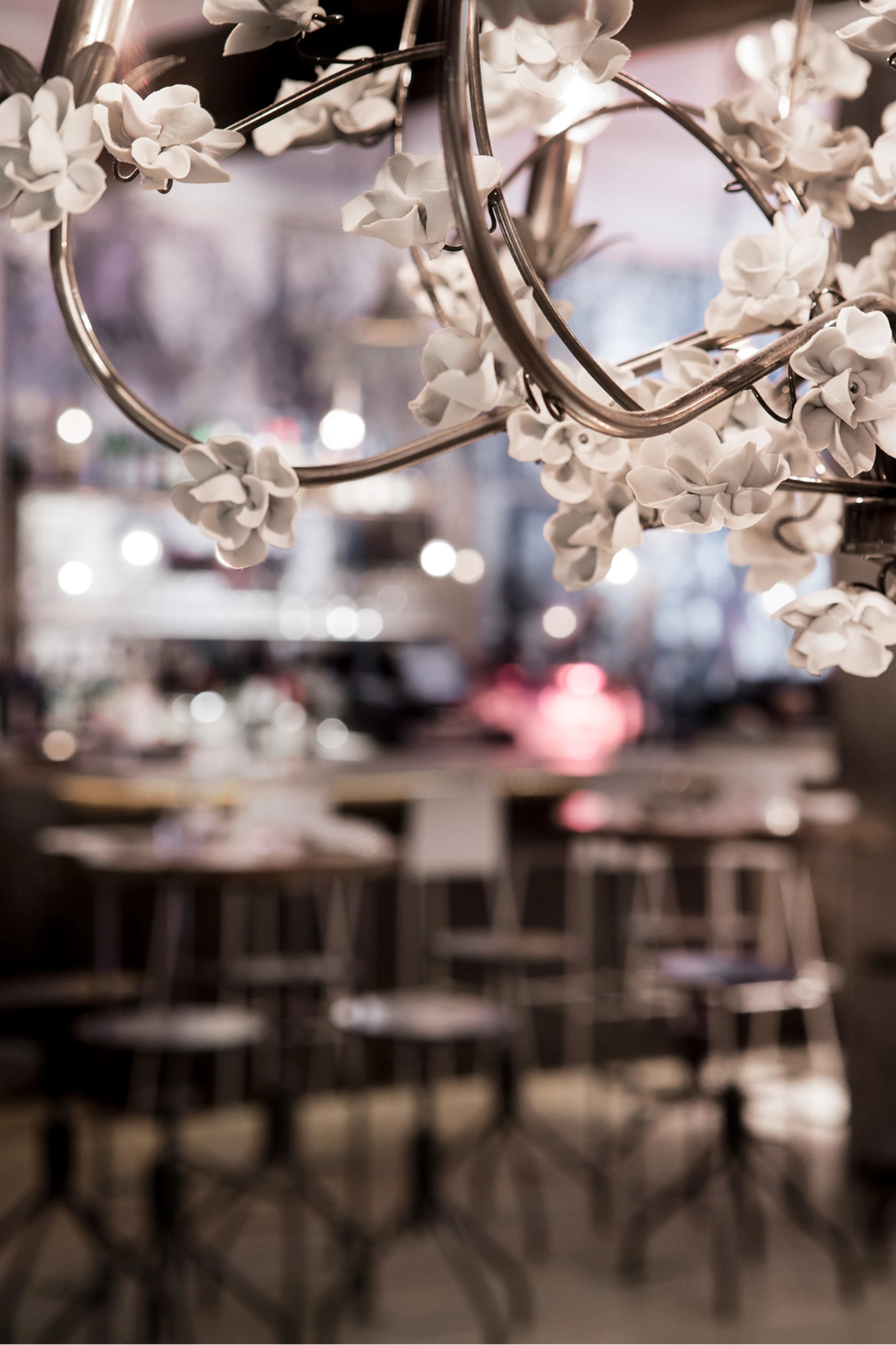 ABC Kitchen Gallery