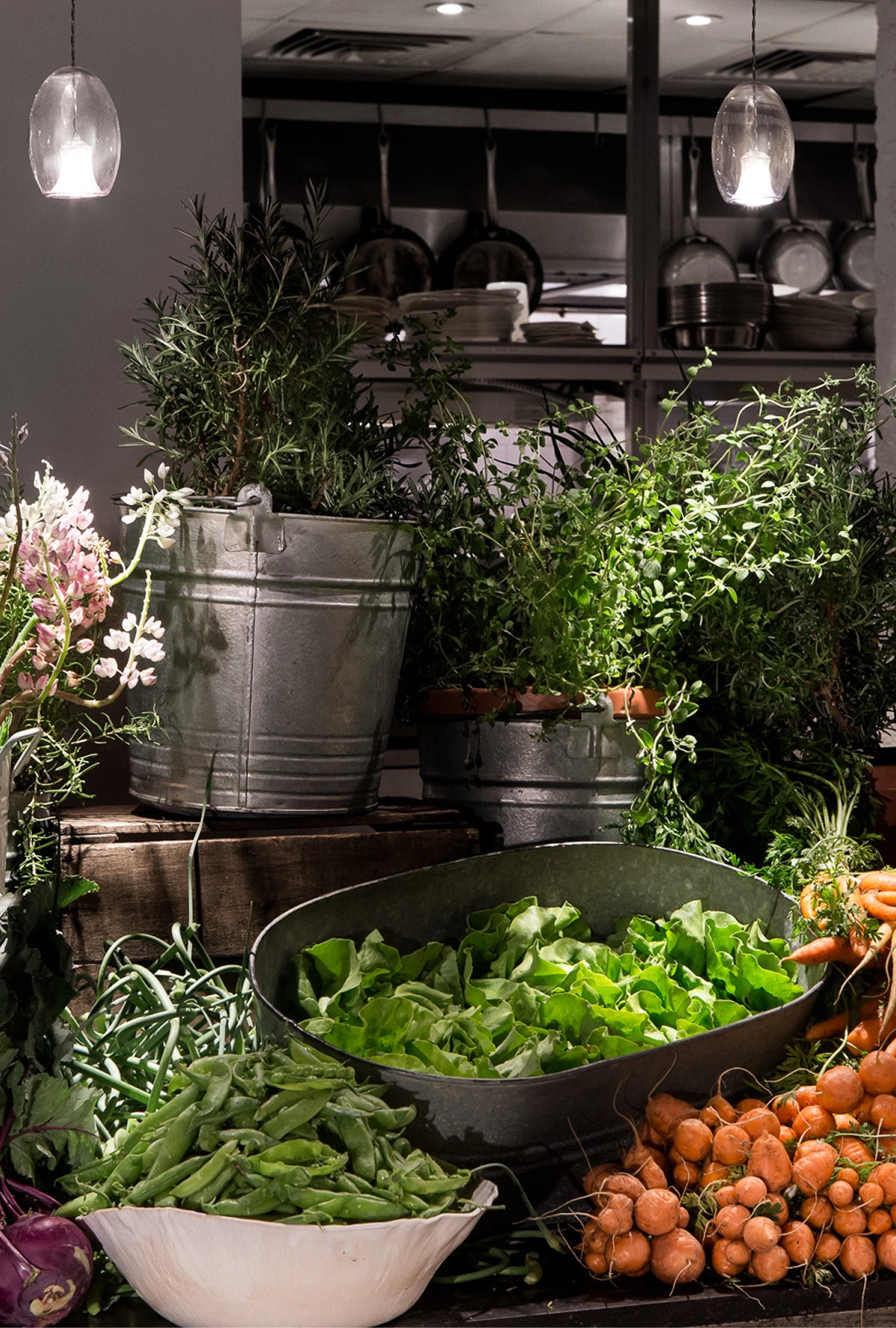 ABC Kitchen Gallery
