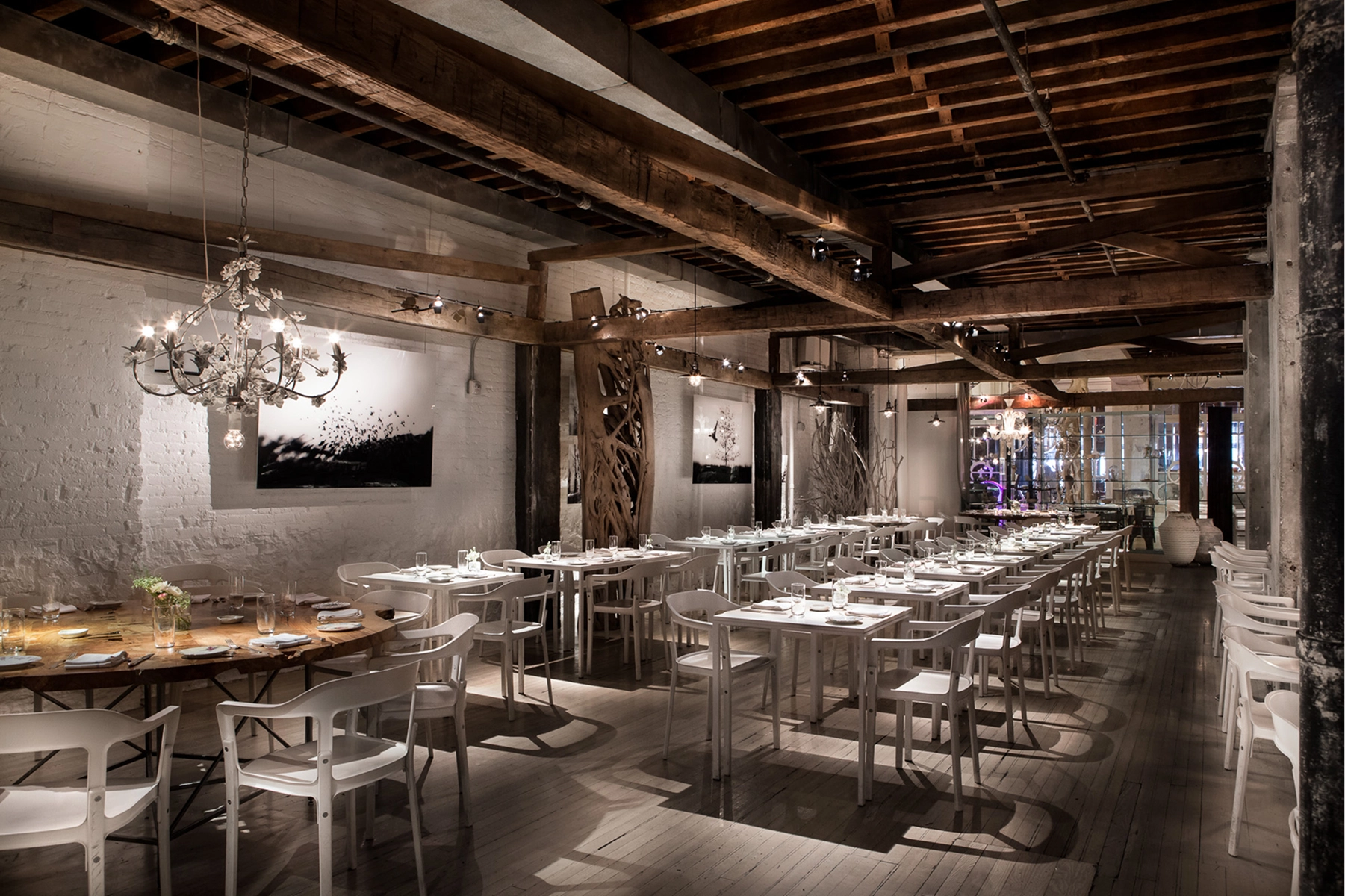 ABC Kitchen Gallery