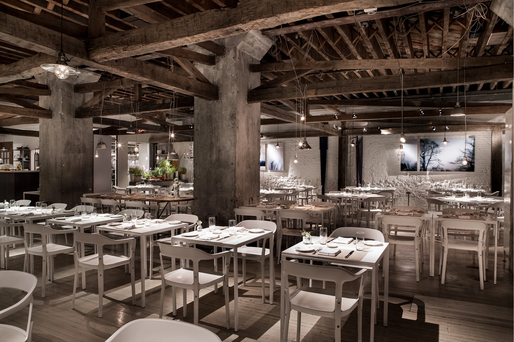 ABC Kitchen Gallery