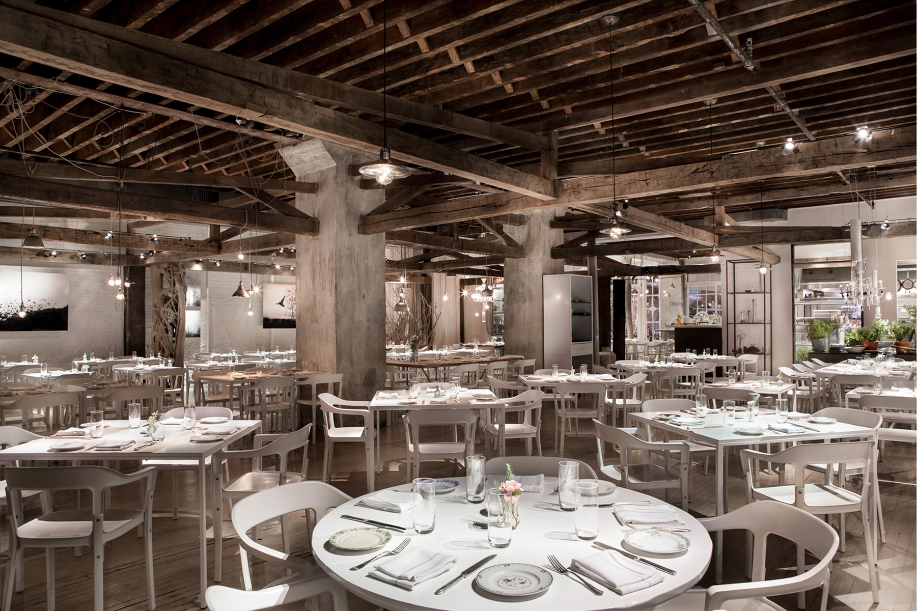 ABC Kitchen Gallery