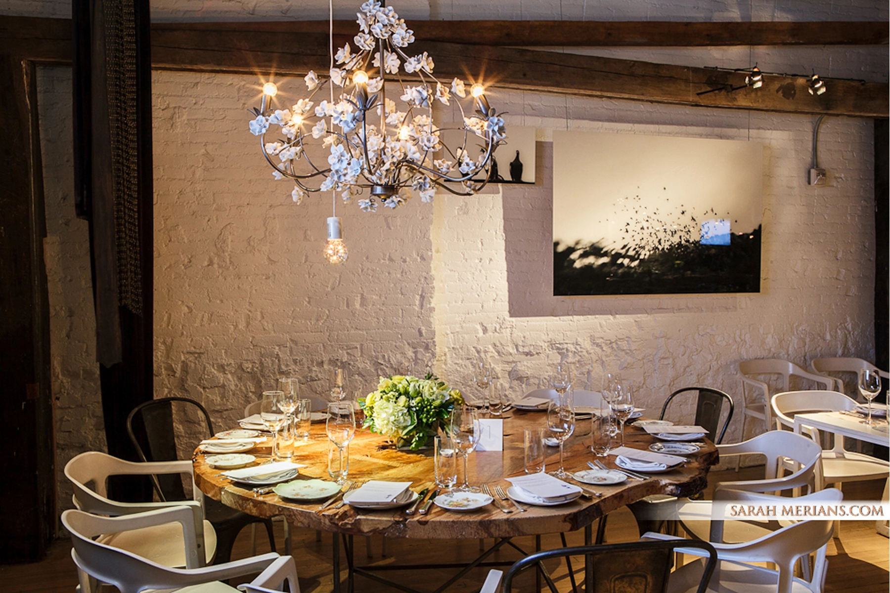 ABC Kitchen Gallery
