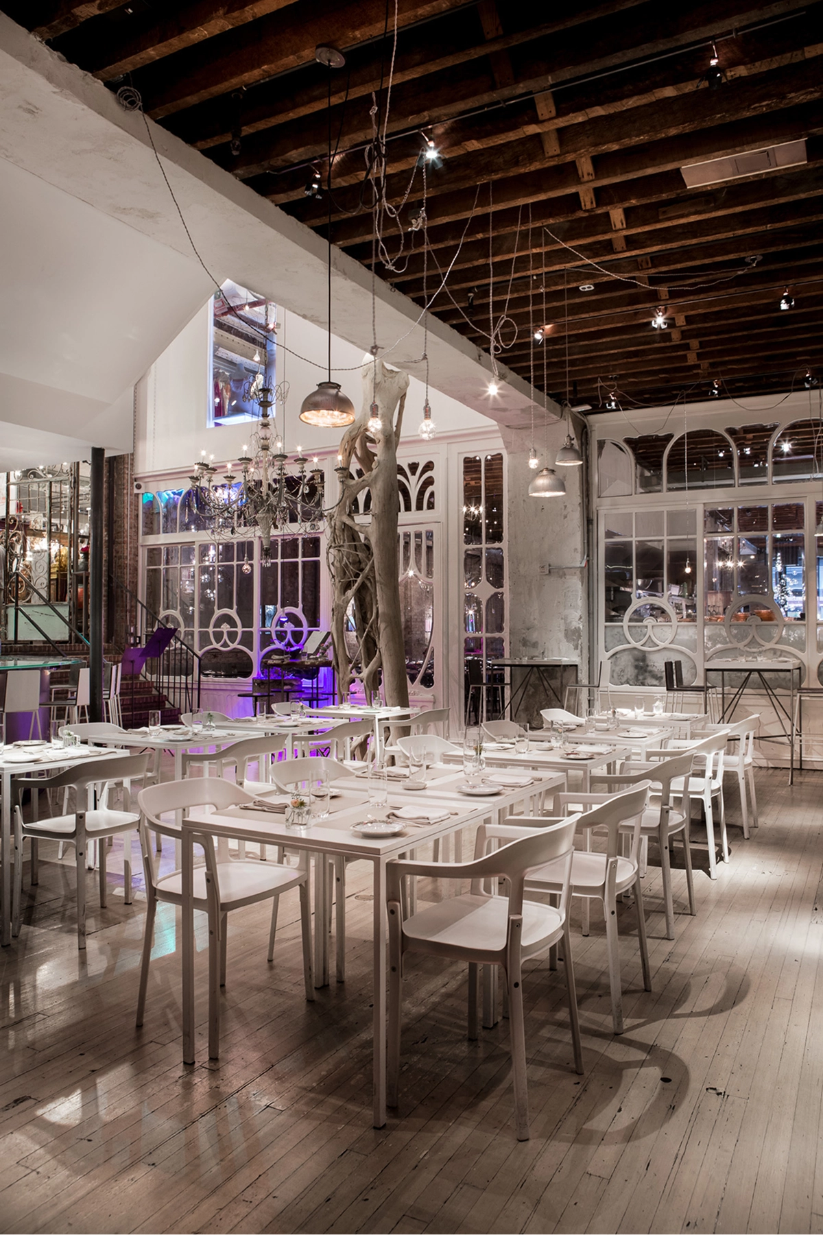 ABC Kitchen Gallery