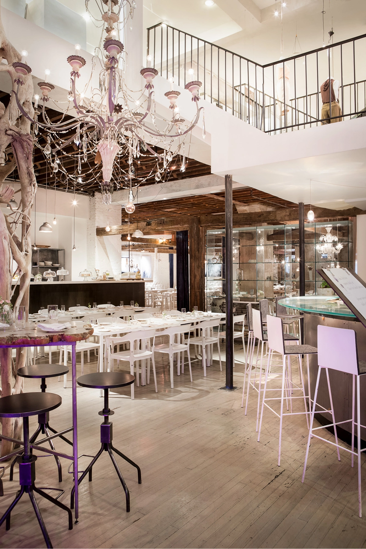 ABC Kitchen Gallery